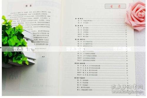 成人连笔楷书视频教程,成人连笔楷书教程精要解析