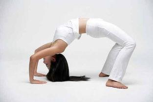 成人腰部放松动作视频,跟随视频学成人腰部放松技巧