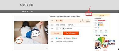 成人a视频永久网站,揭秘永久资源背后的秘密