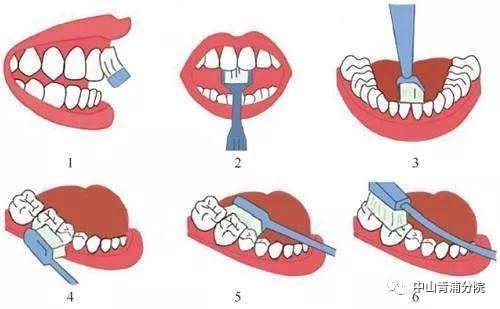 成人刷牙牙视频在线观看,跟随专业视频学习高效刷牙方法