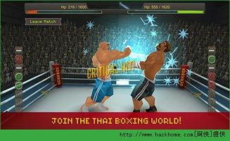 泰拳成人训练游戏视频播放,挑战极限，领略泰拳魅力