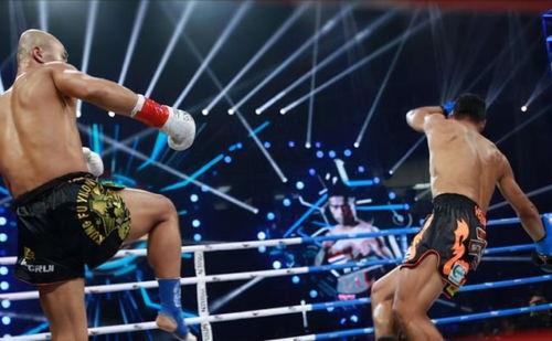 泰拳成人训练游戏视频播放,挑战极限,领略泰拳魅力