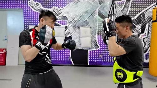 成人拳击宣传视频大全集,成人拳击宣传视频大全集精彩回顾