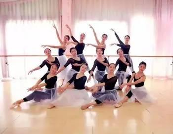 怡园成人舞蹈视频大全,舞动人生，尽享欢乐时光